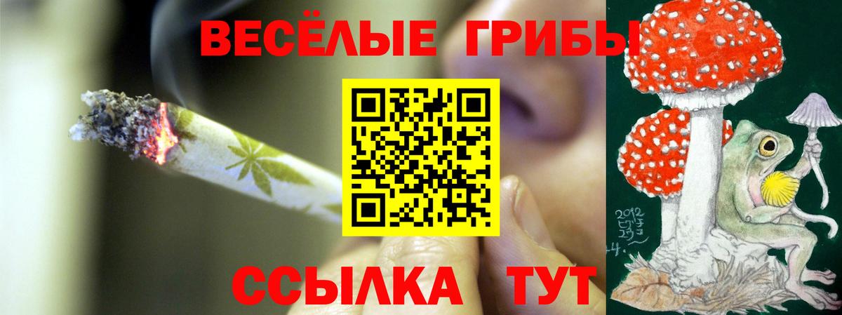 Галлюциногенные грибы мицелий Балашов